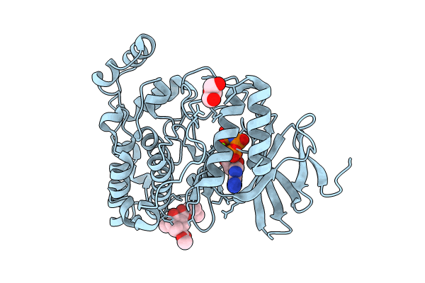 8R5E image