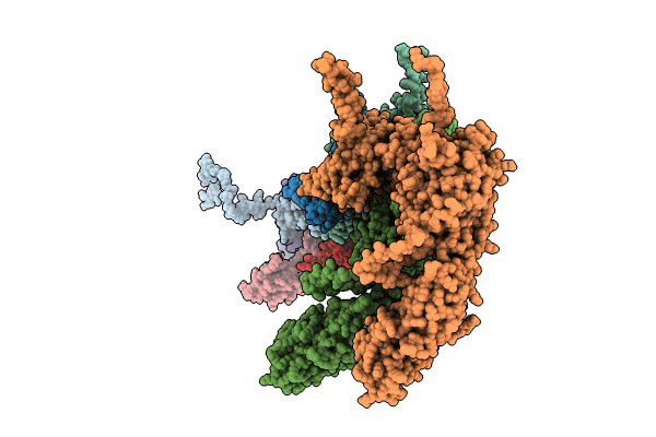 8R5G image