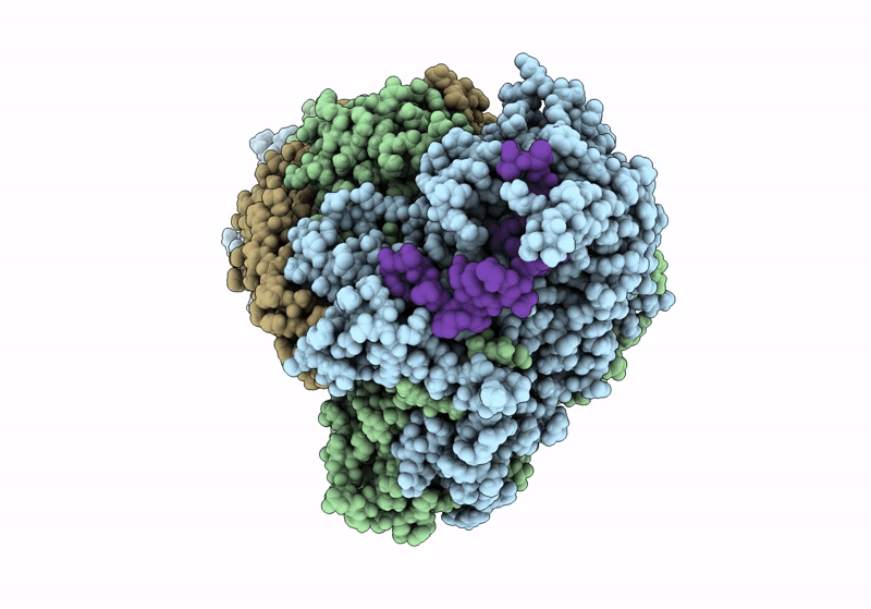 8R60 image