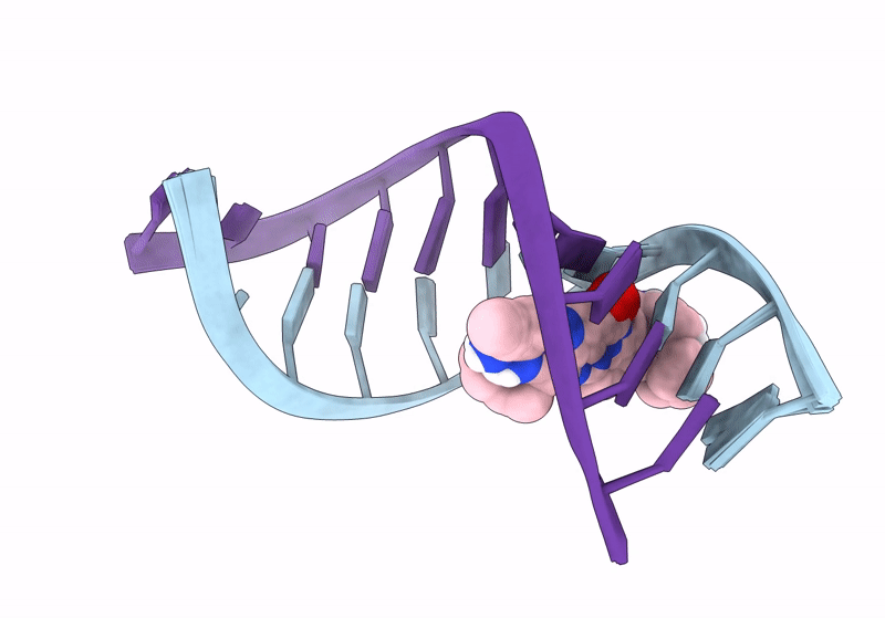 8R62 image
