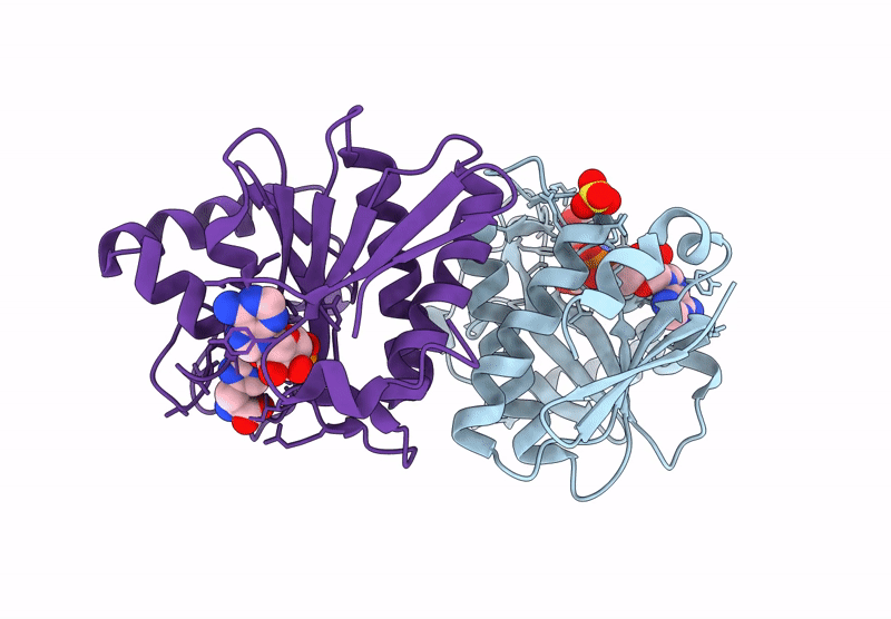 8R66 image