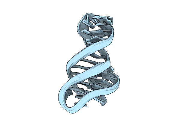 8R6G image