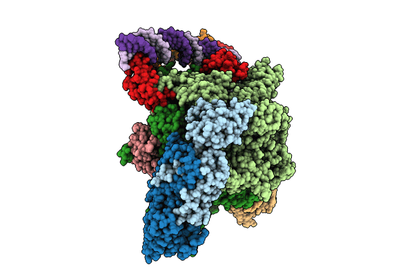 8R6P image