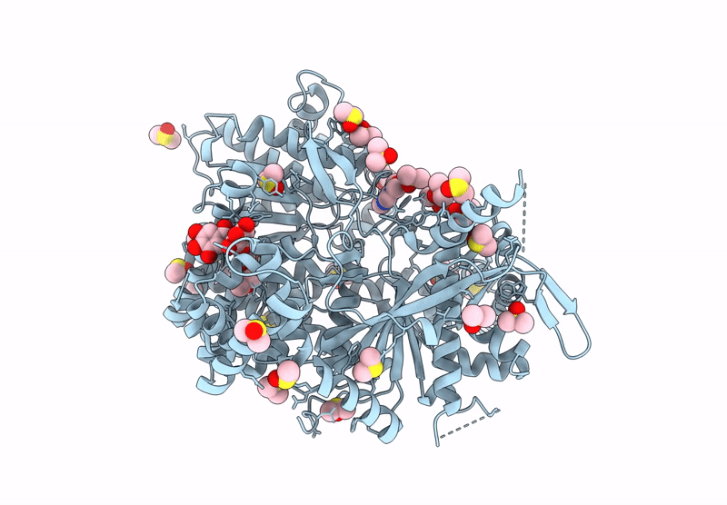 8R6V image