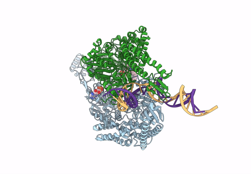 8R7V image
