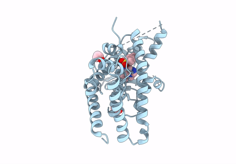 8R81 image