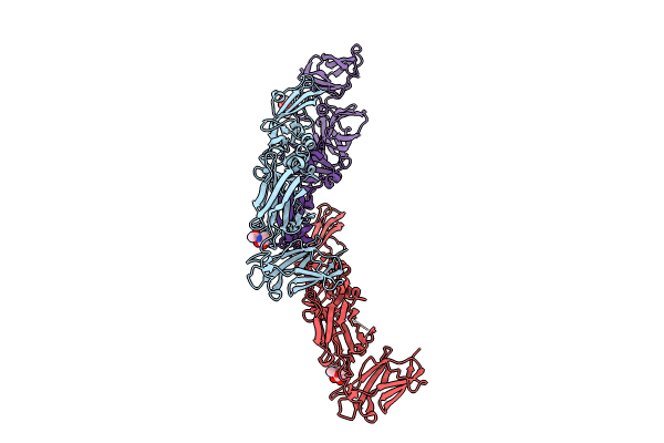 8R8L image