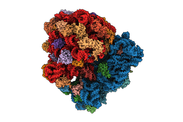 8R8M image