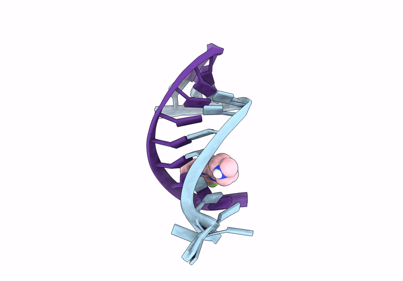 8R8P image