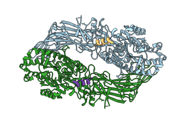8R8V image