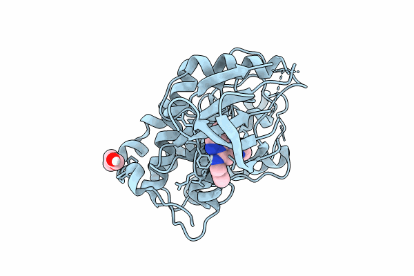 8R9A image