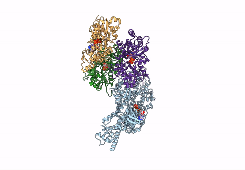 8R9V image