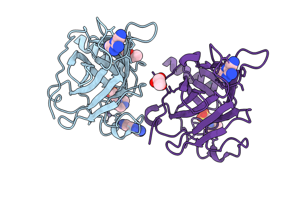 8RBC image