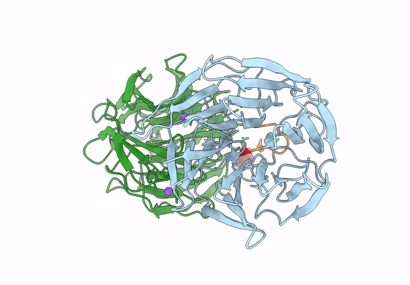8RBH image