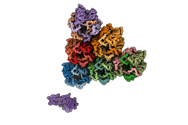 8RBT image