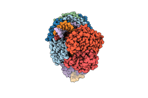 8RC3 image