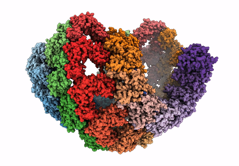 8RC5 image