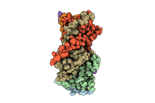 8RC6 image