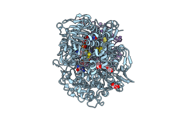 8RC8 image