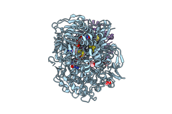 8RC9 image