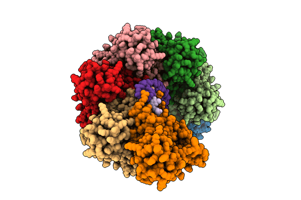 8RCF image