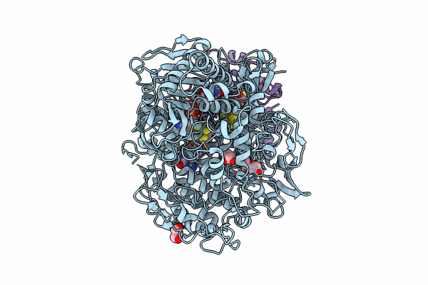 8RCG image