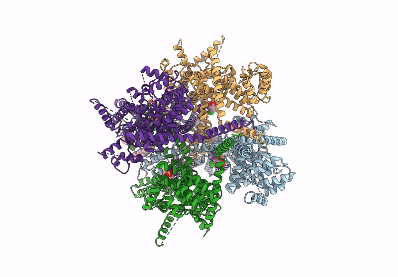 8RCU image