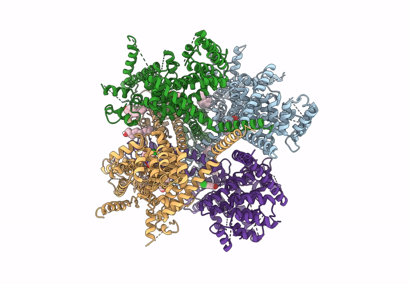 8RD9 image