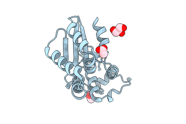 8RDD image