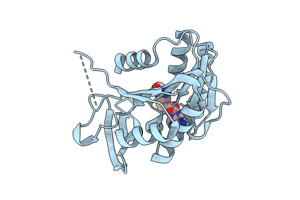 8RDL image