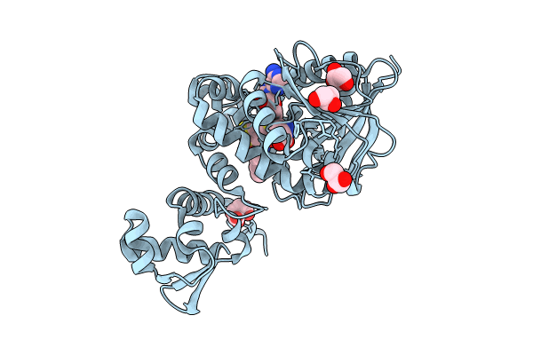 8RDO image