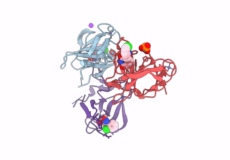 8RDP image