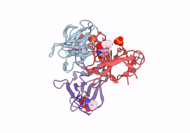 8RDR image