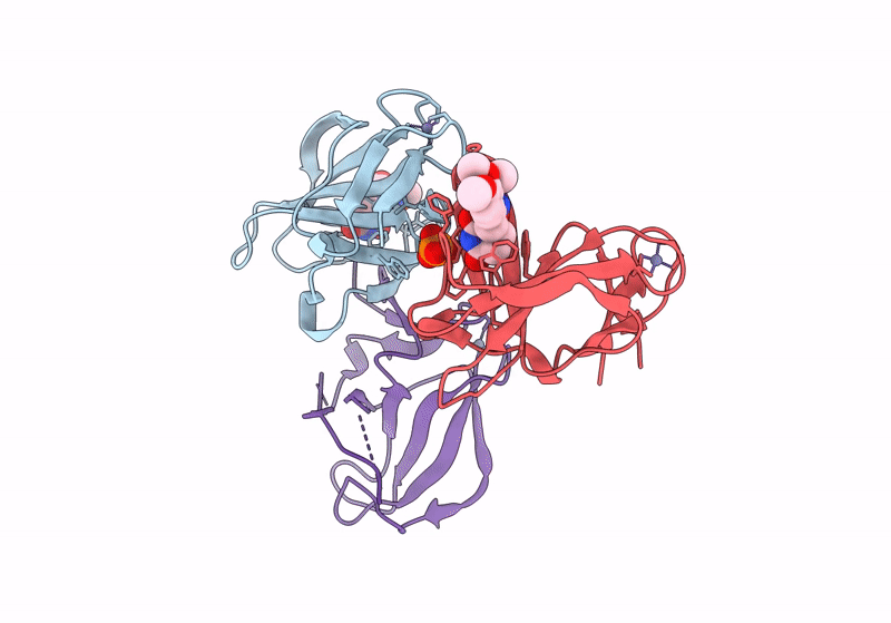 8RDT image