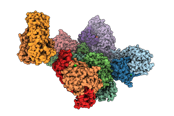 8RDX image