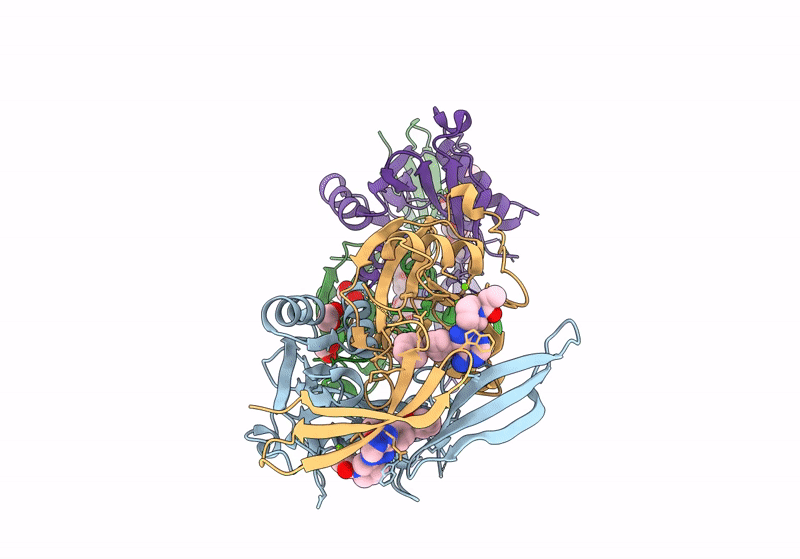 8RDZ image