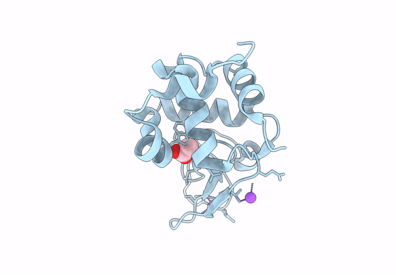 8REH image