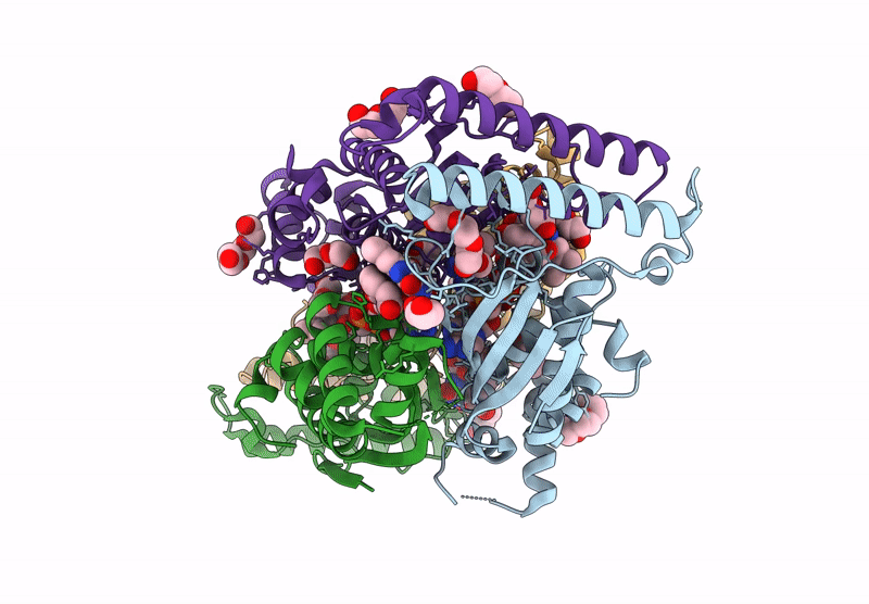 8REQ image