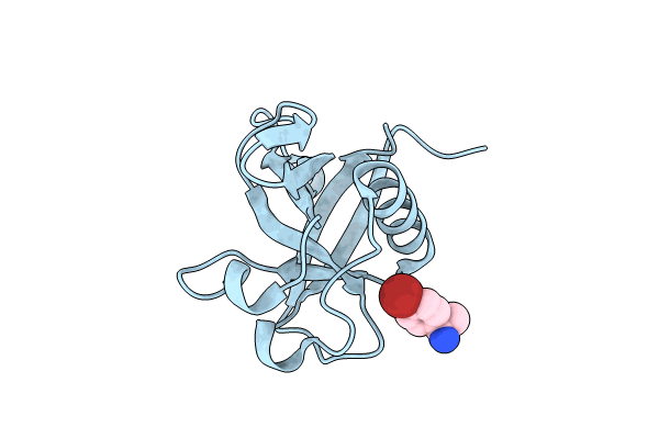8RFC image