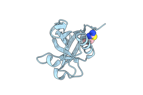 8RFF image