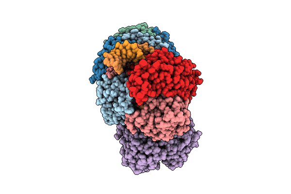 8RFJ image