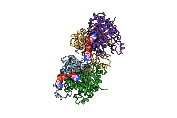 8RFM image