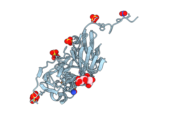 8RFR image