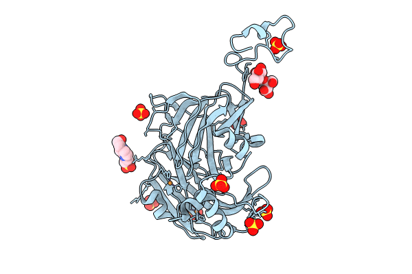 8RFX image
