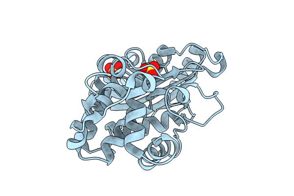 8RFZ image