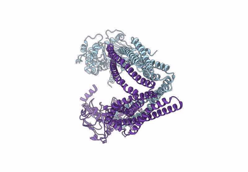 8RGA image