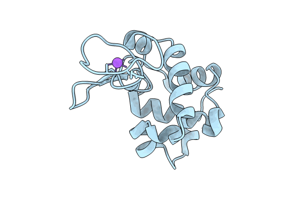 8RGE image