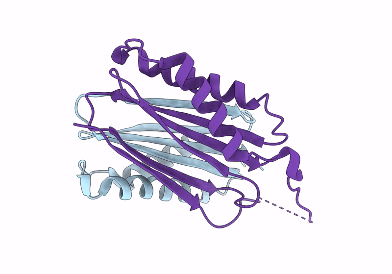 8RGI image