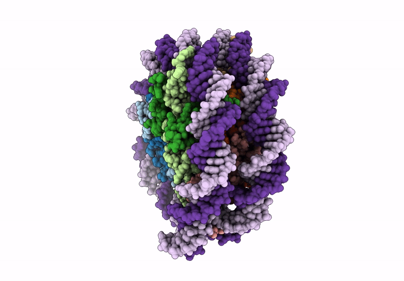 8RGM image