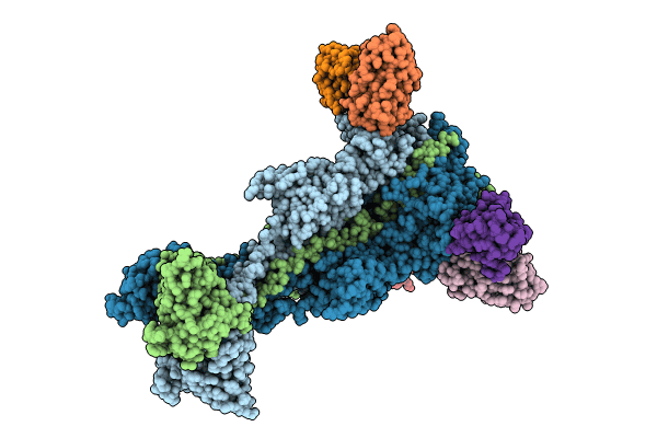 8RH2 image
